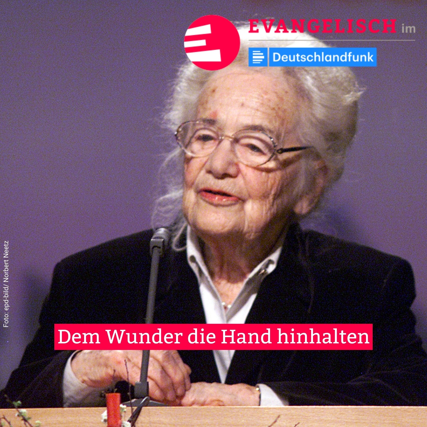 Dem Wunder die Hand hinhalten