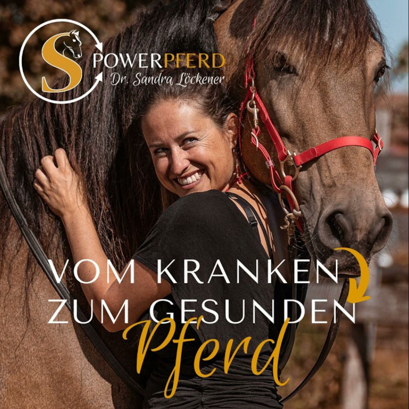  #51 So beeinflussen wir unsere Pferde – unbewusst