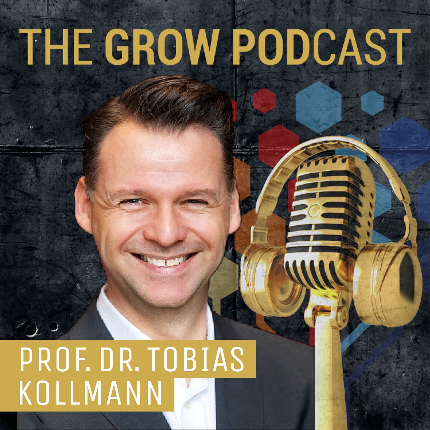 Prof. Dr. Tobias Kollmann, 🎤 „MACHEN und nicht lassen!