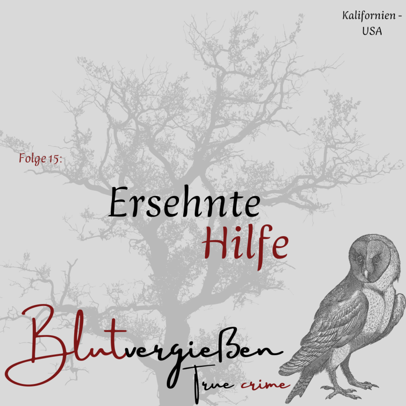 #15 Gabriel Fernandez - Ersehnte Hilfe