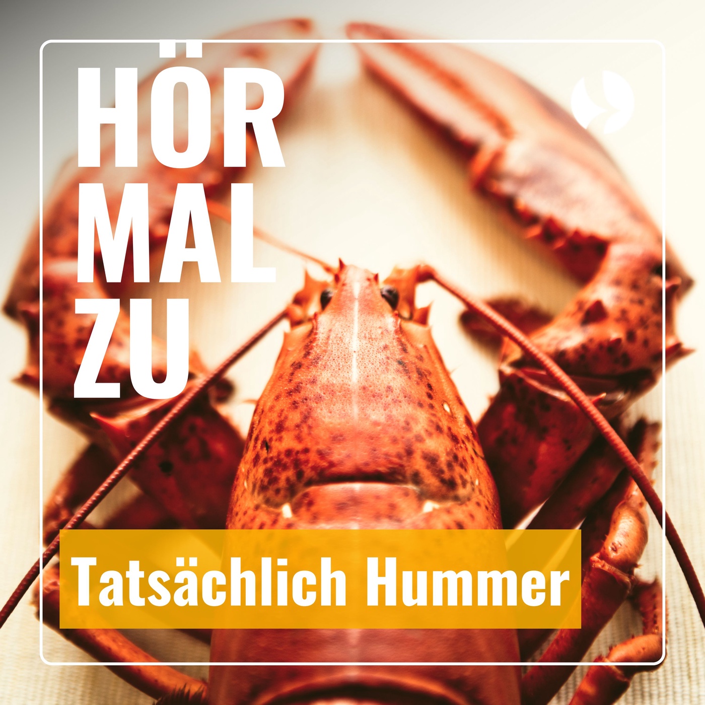 Hör mal zu  - Tatsächlich Hummer