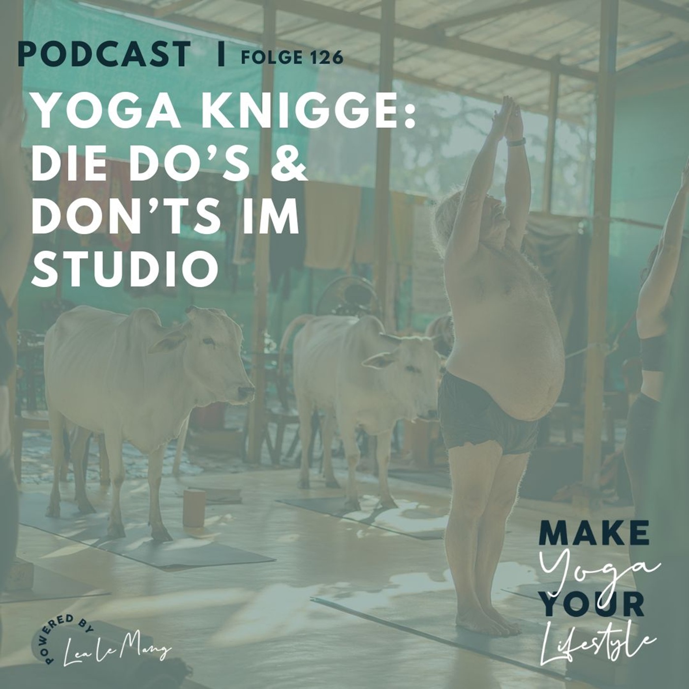 126 - Yoga Knigge: Die Do’s & Don’ts im Studio