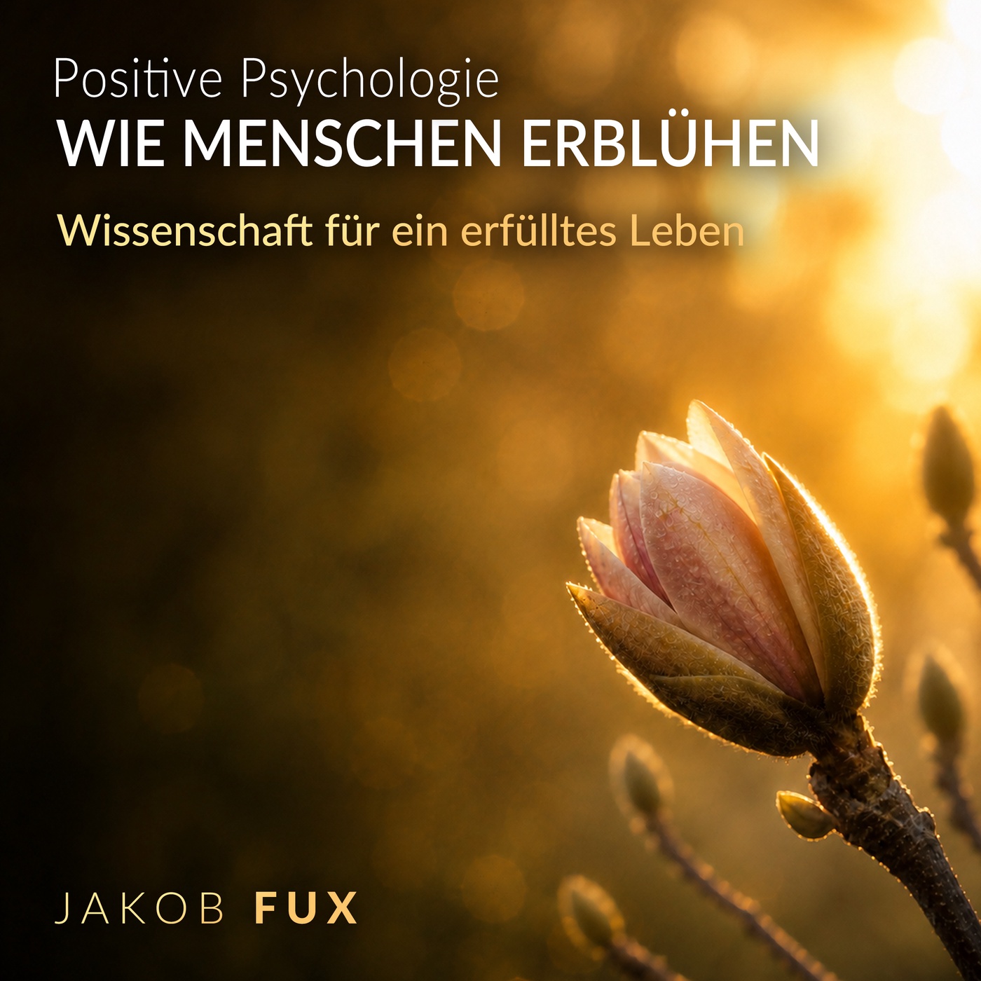 Wie Menschen erblühen – Positive Psychologie für ein erfülltes Leben