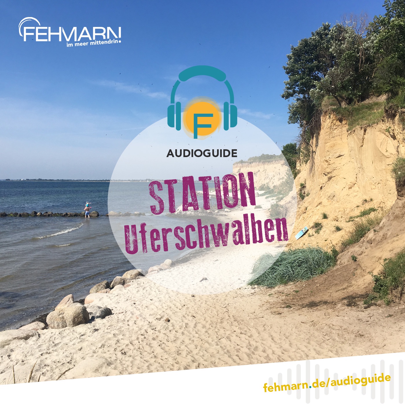 Uferschwalbenkolonie Wulfen - Audioguide Fehmarn