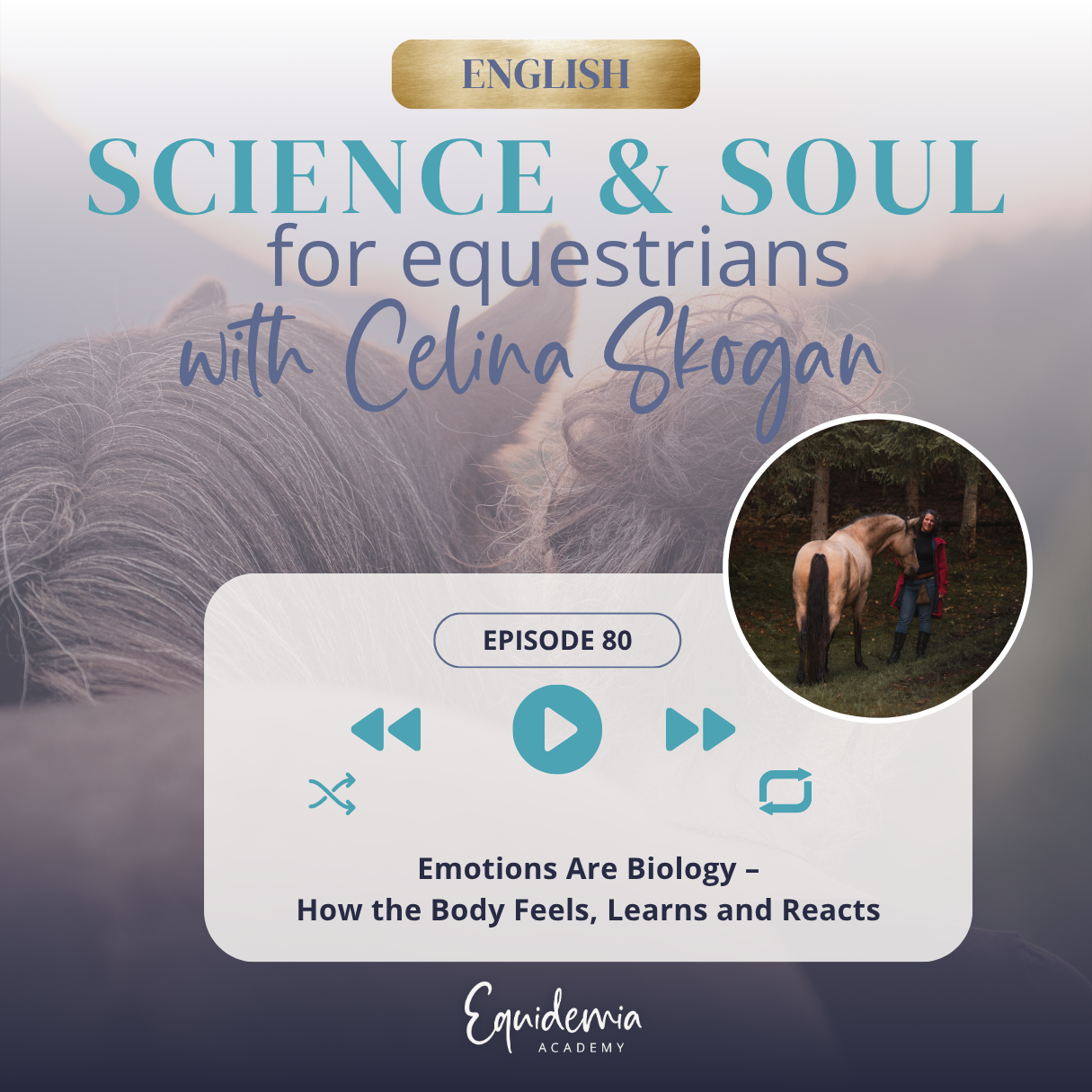 Emotions Are Biology – How the Body Feels, Learns and Reacts