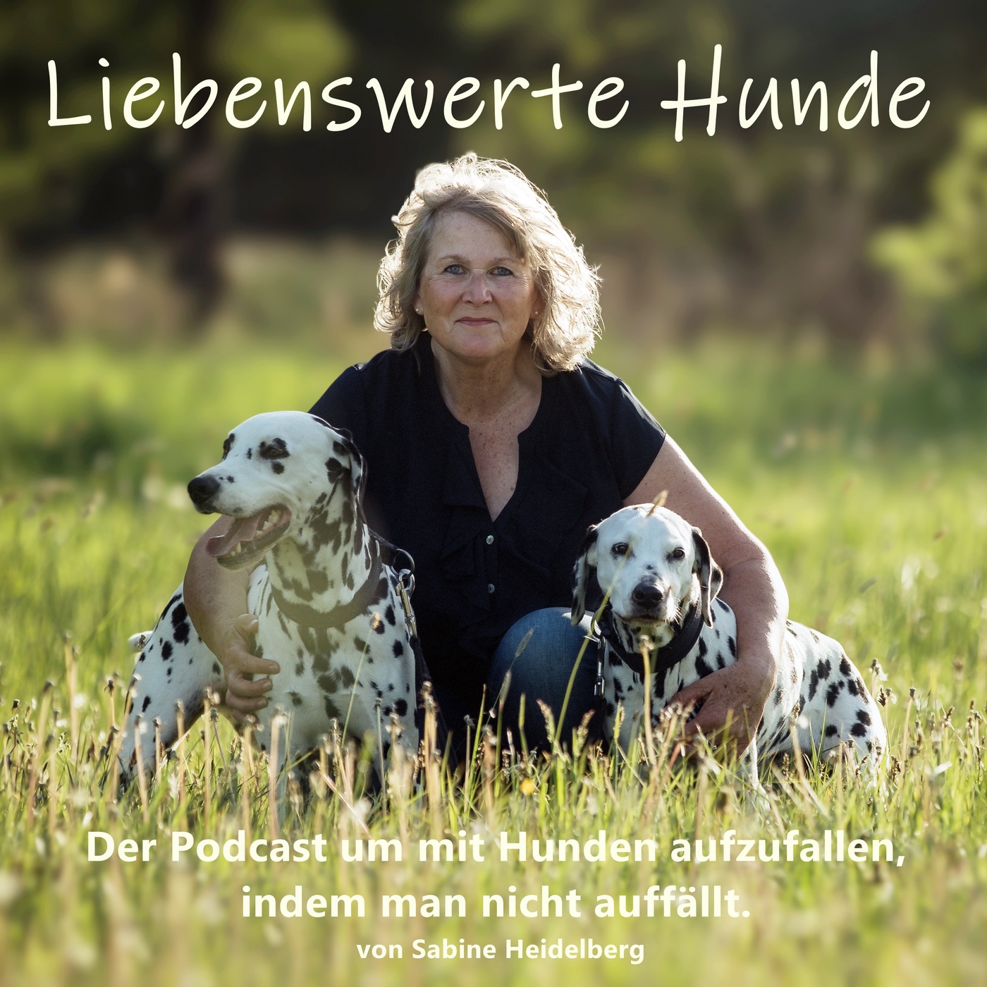 Liebenswerte Hunde - Mit Hunden auffallen, indem man nicht auffällt.