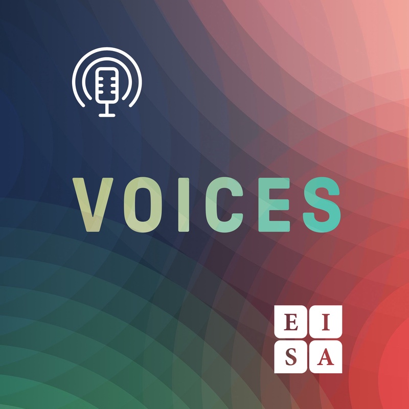 What is...the new Voices in IR Book Series?
