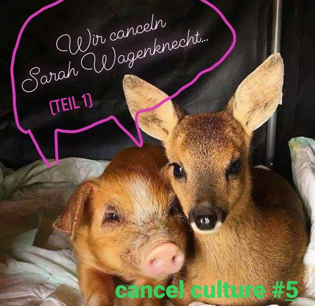 Cancel Culture #5: Wir canceln Sahra Wagenknecht Teil 1