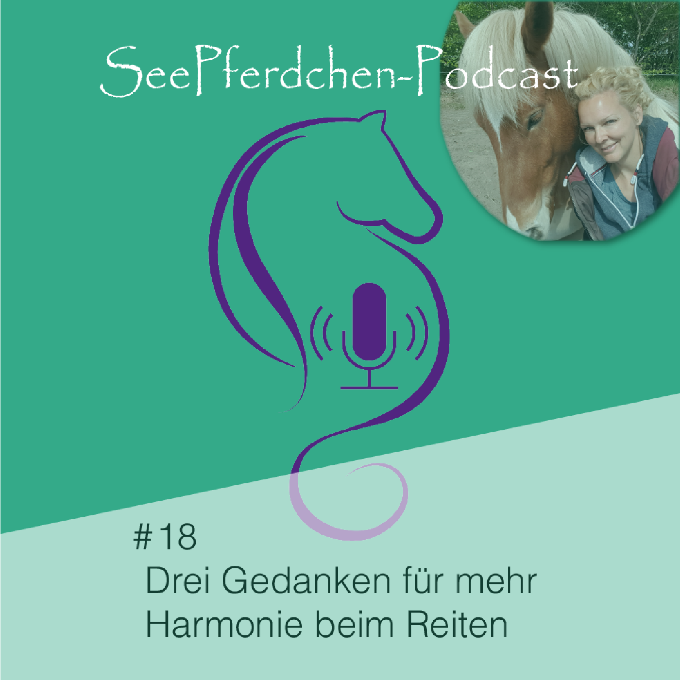 #18 │Drei Gedanken für mehr Harmonie beim Reiten