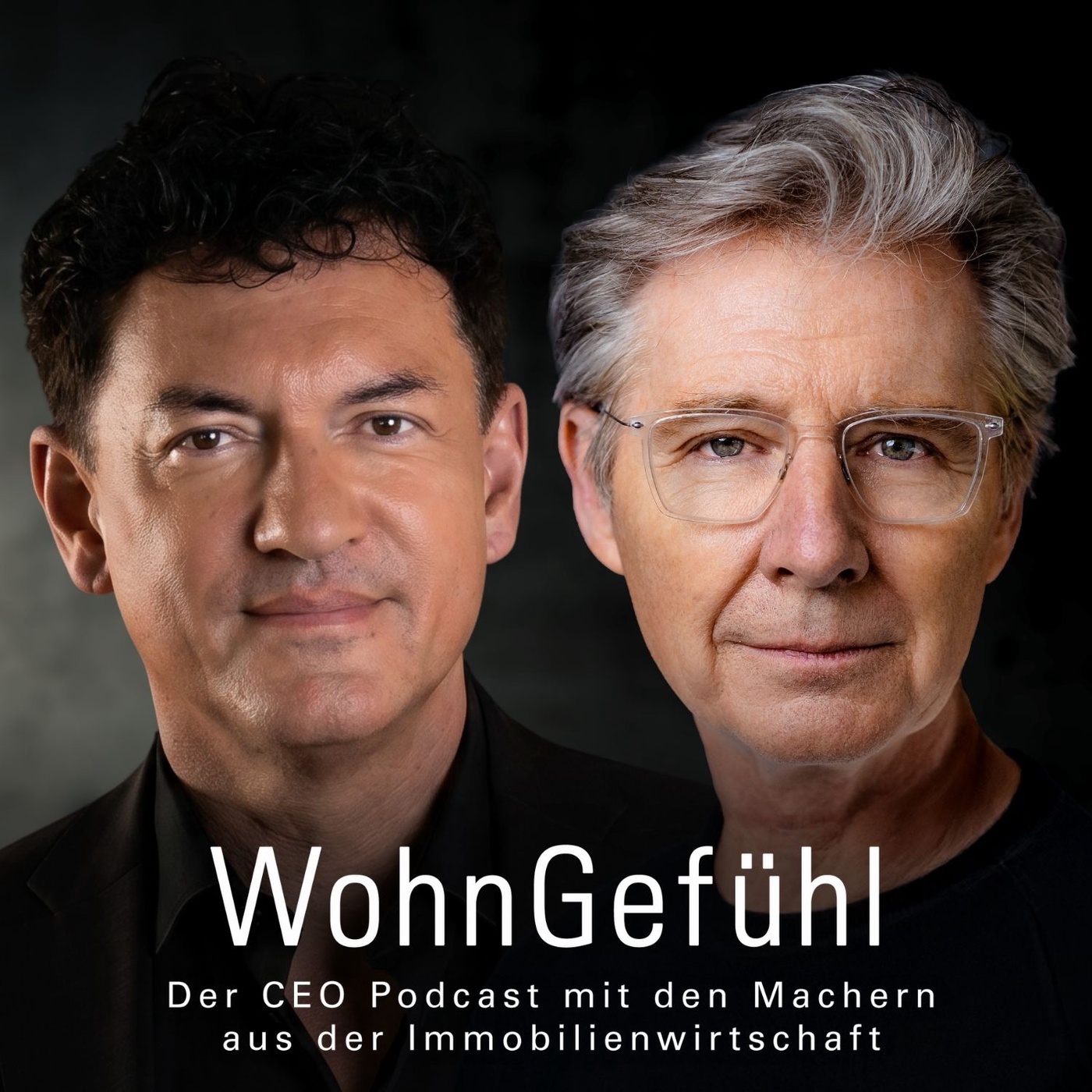 Wie überlebt ein Projektentwickler, wenn der Markt einbricht, Herr Wolf?
