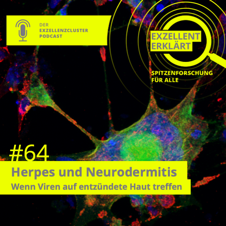 Herpes und Neurodermitis – Wenn Viren auf entzündete Haut treffen