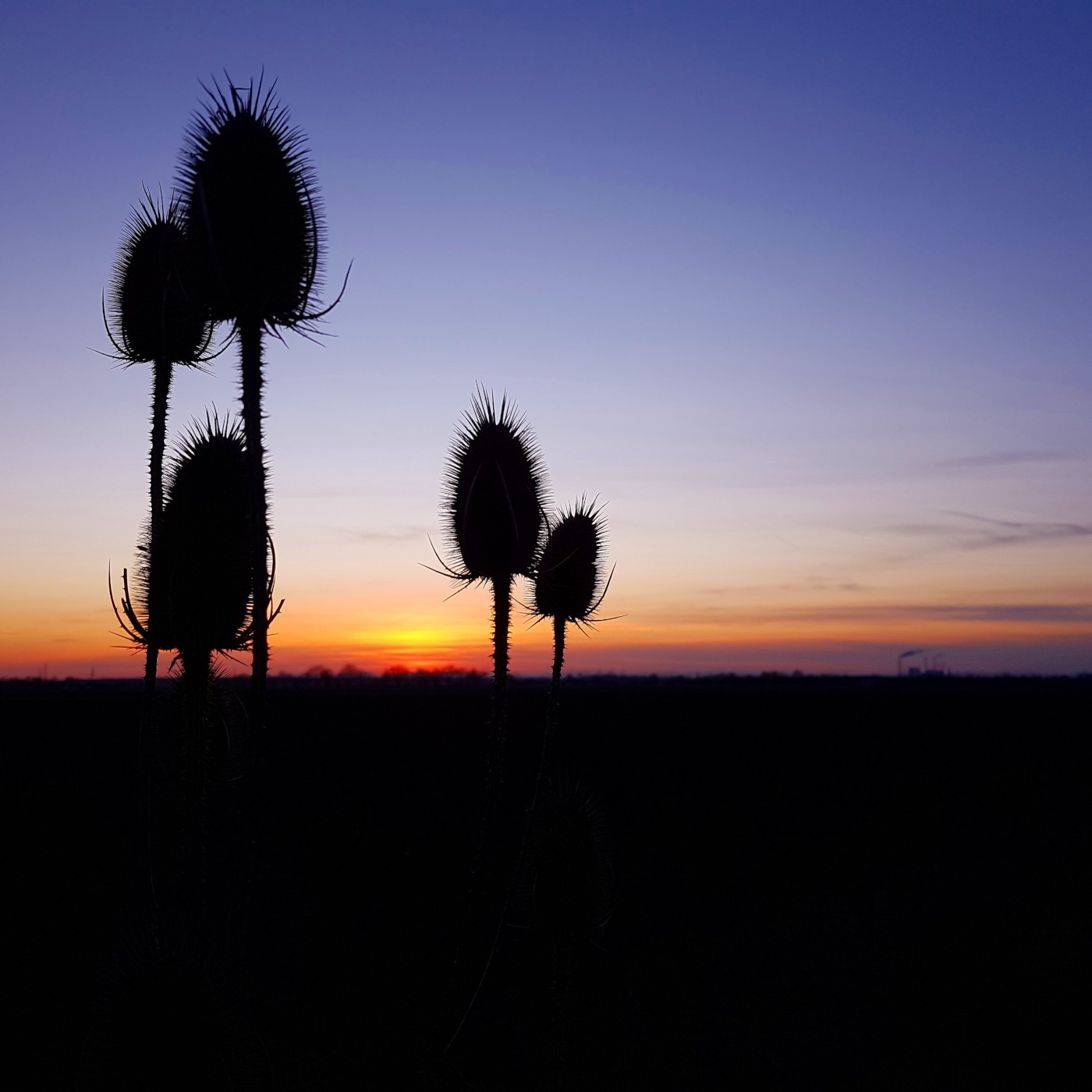 Meditation |  Herbst II