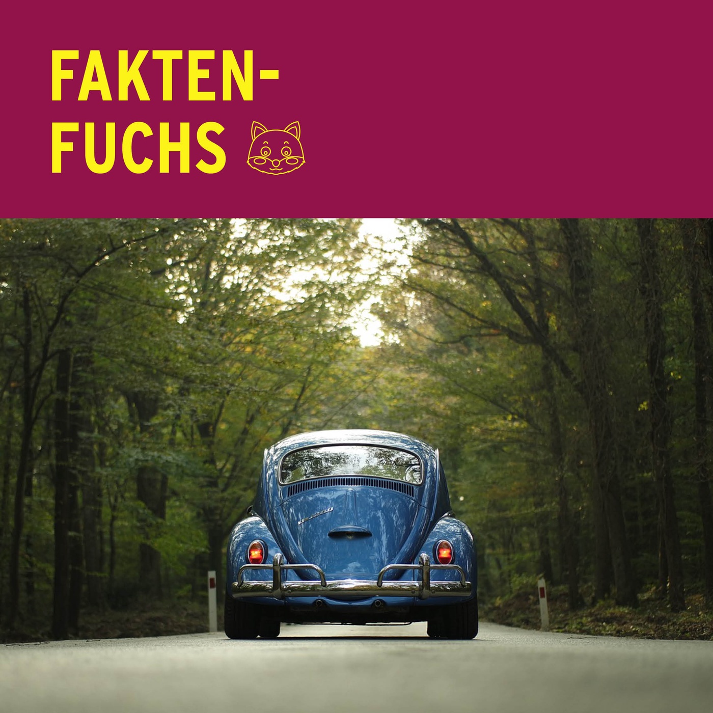 Faktenfuchs: Auto