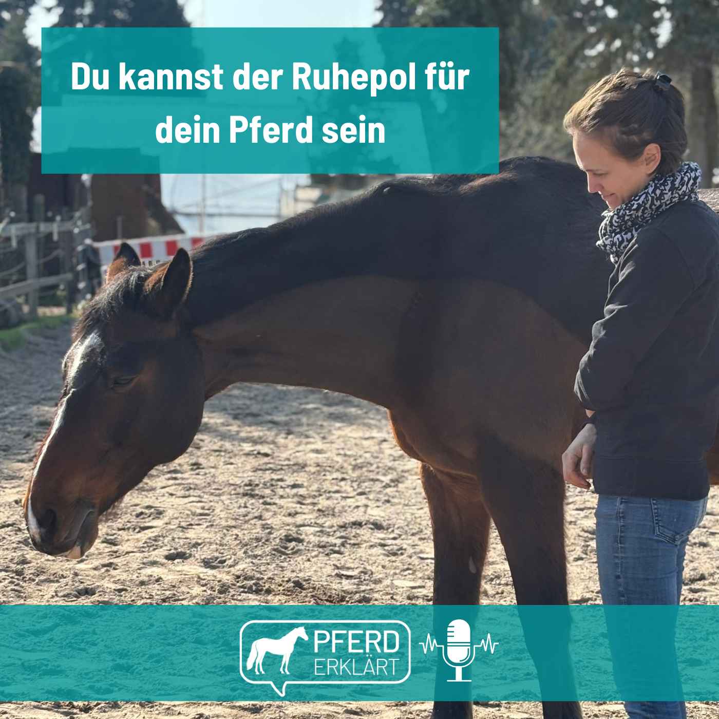 Du kannst der Ruhepol für dein Pferd sein