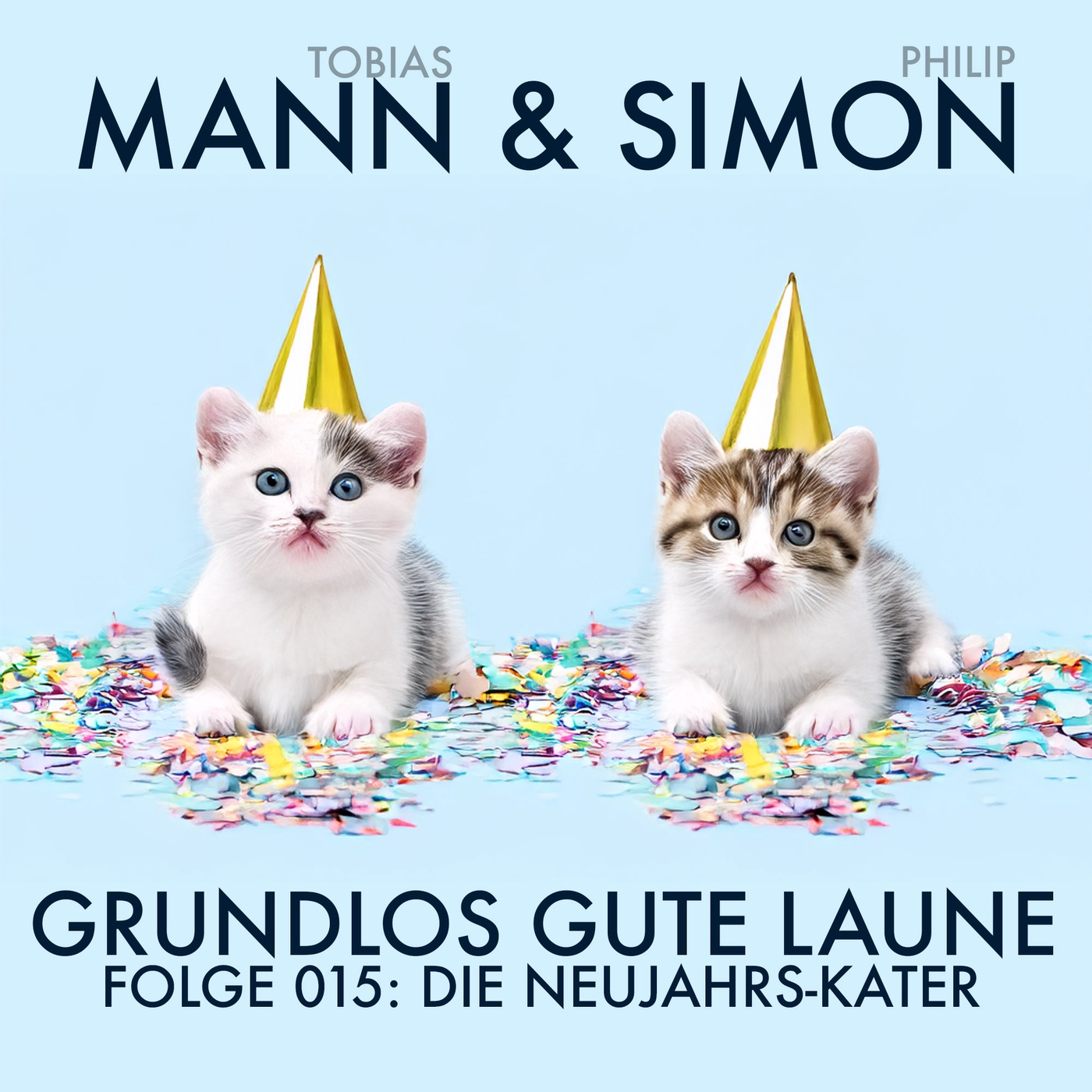 Die Neujahrs-Kater