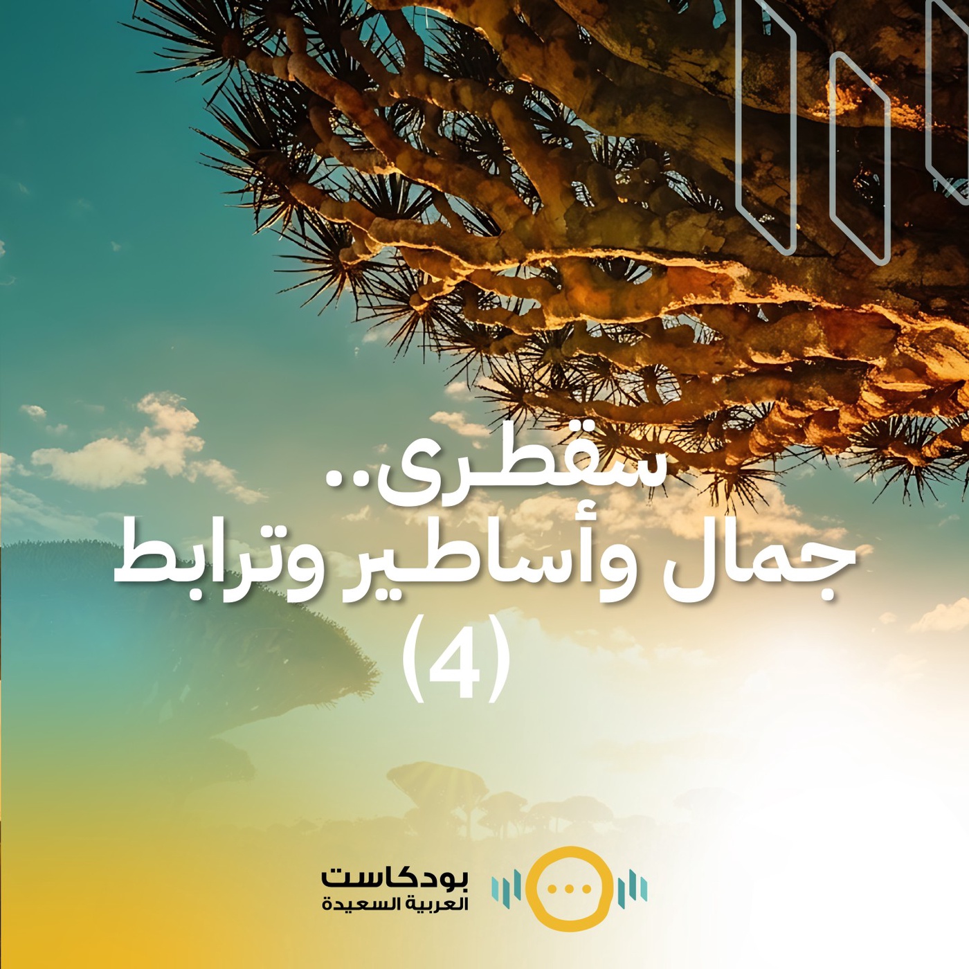 تشويقية: سقطرى