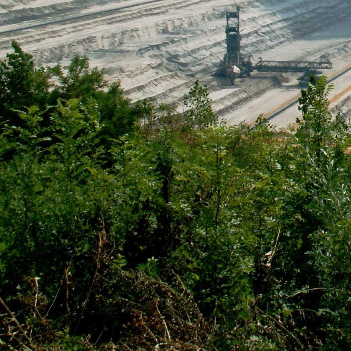 A-050: Strukturwandel und Naturschutz im Rheinischen Revier, mit Linus Platzer [LVR geSCHICHTEN]