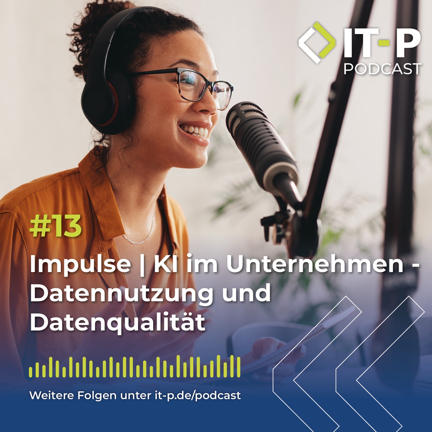 #13 Impulse | KI im Unternehmen - Datennutzung und Datenqualität