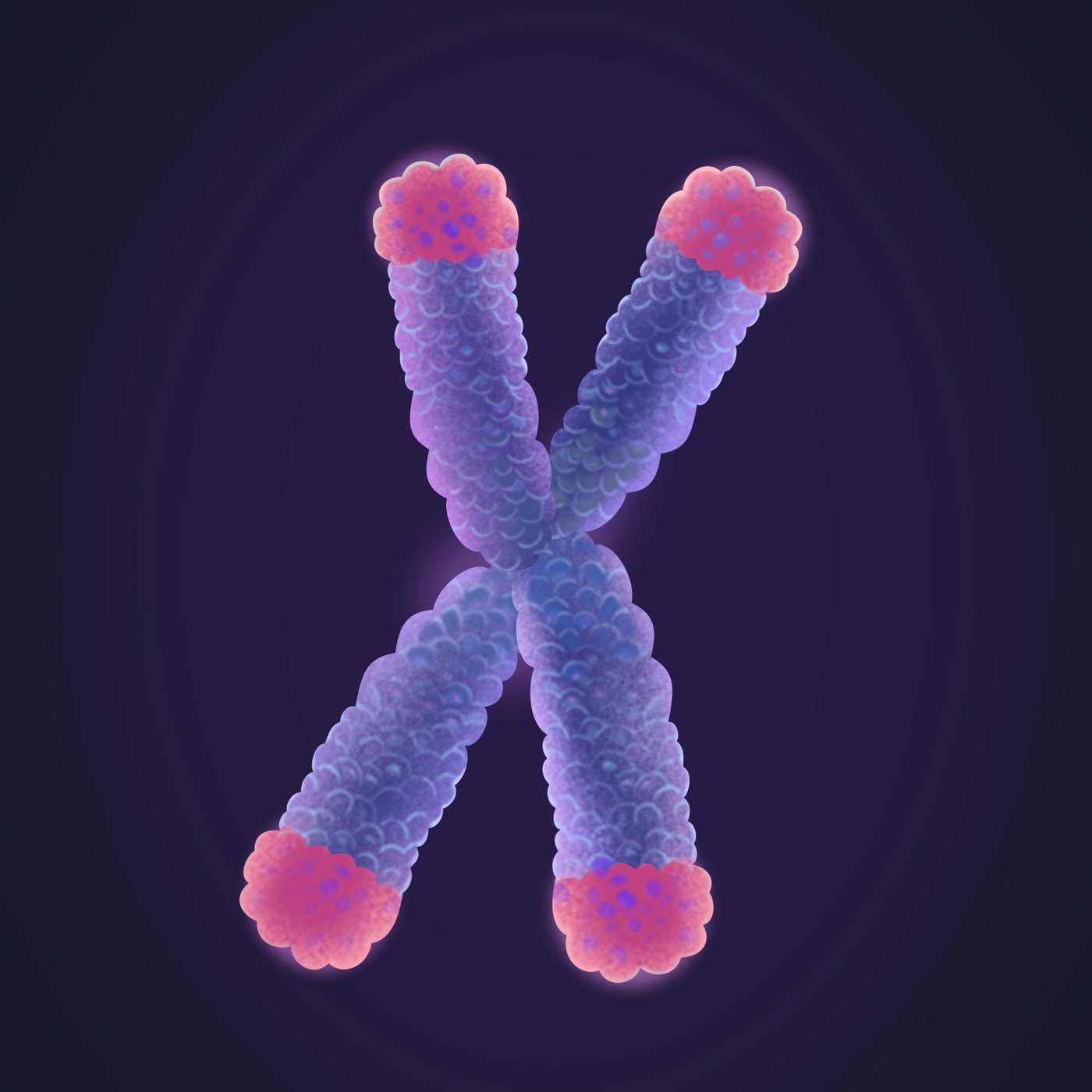 The Telomere Effect: Unlocking the Key to Longevity