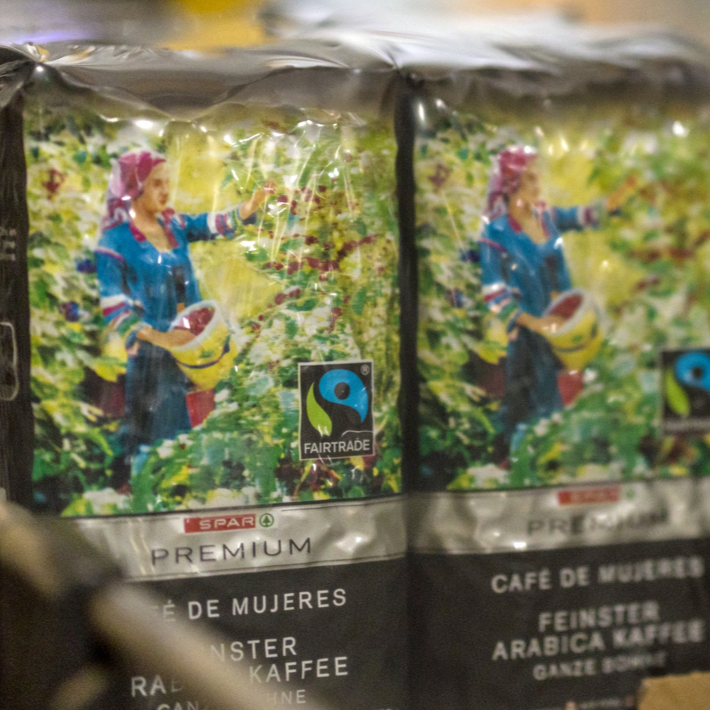 Perspektiven: Fairer Kaffee in Zeiten des Klimawandels