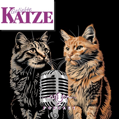 23 Geliebte Katze - Entzündungen bei Katzen
