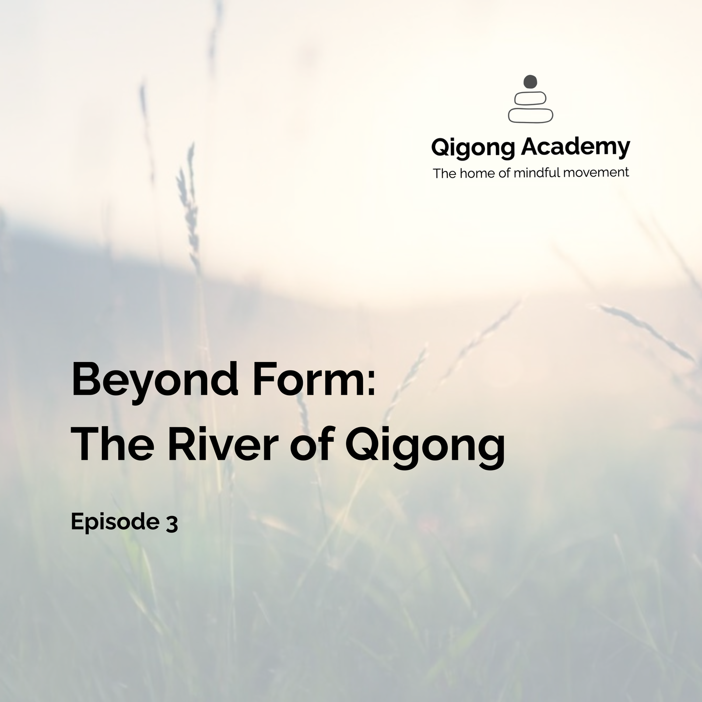 Episode 3 - Beyond Form: The River of Qigong