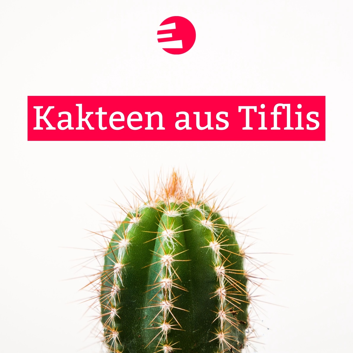 Kakteen aus Tiflis