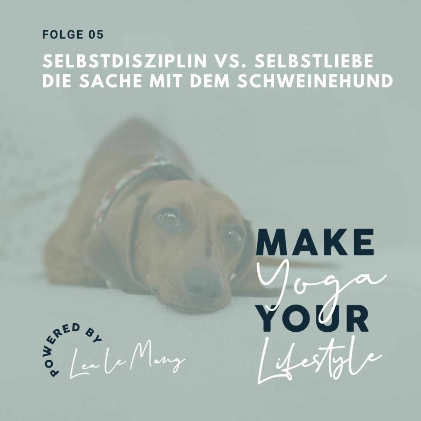 05 – Selbstliebe versus Selbstdisziplin – die Sache mit dem Schweinehund