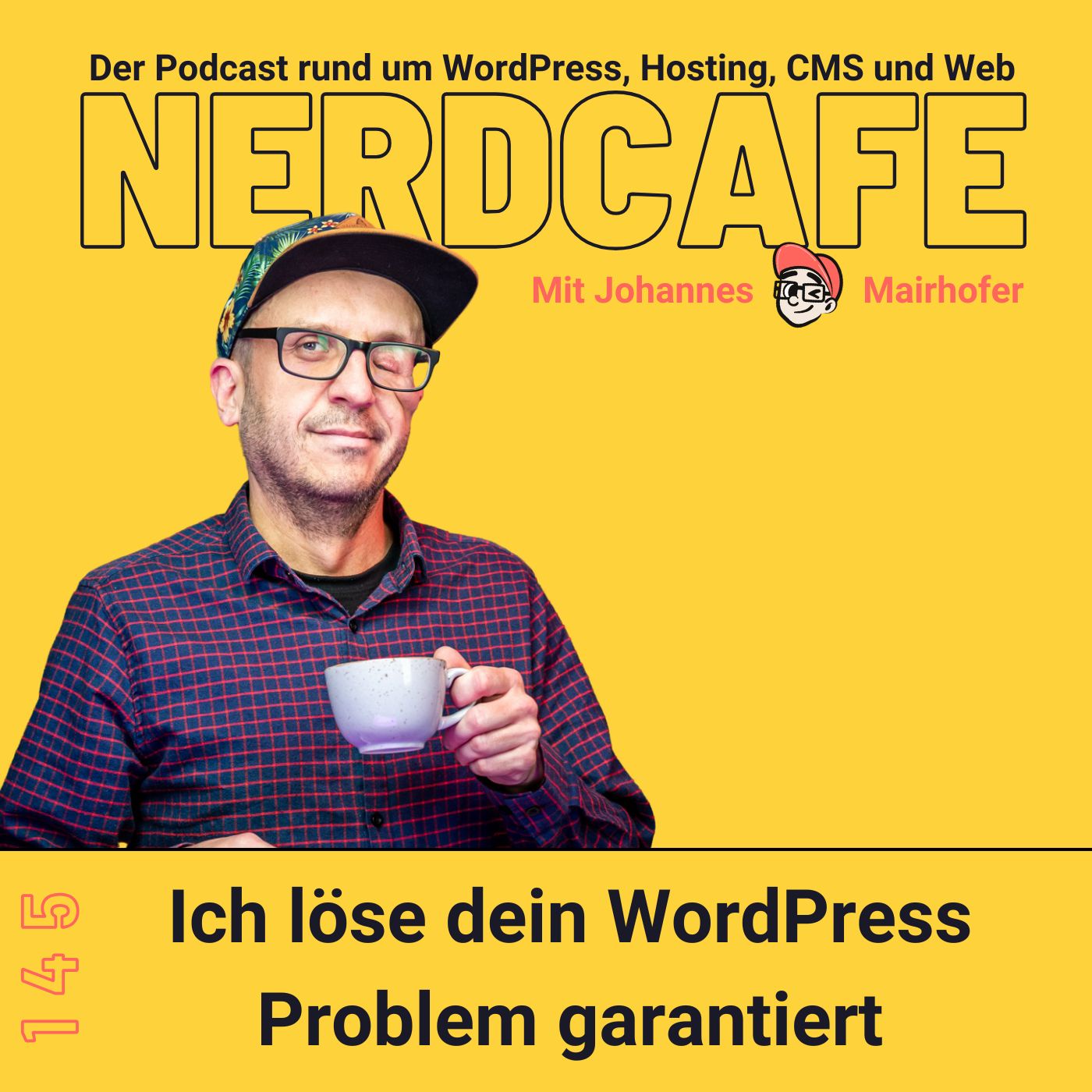 Ich löse dein WordPress Problem garantiert #145