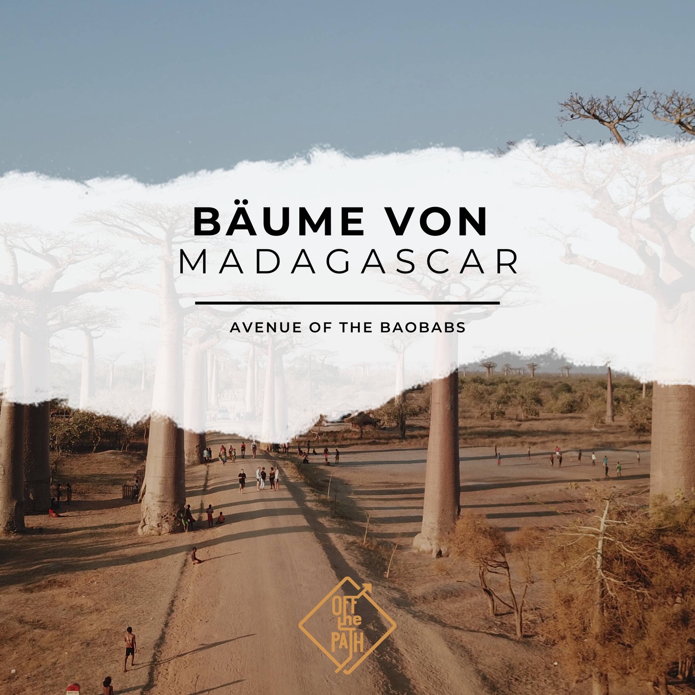 Die magischen Bäume von Madagascar: Avenue of the Baobabs