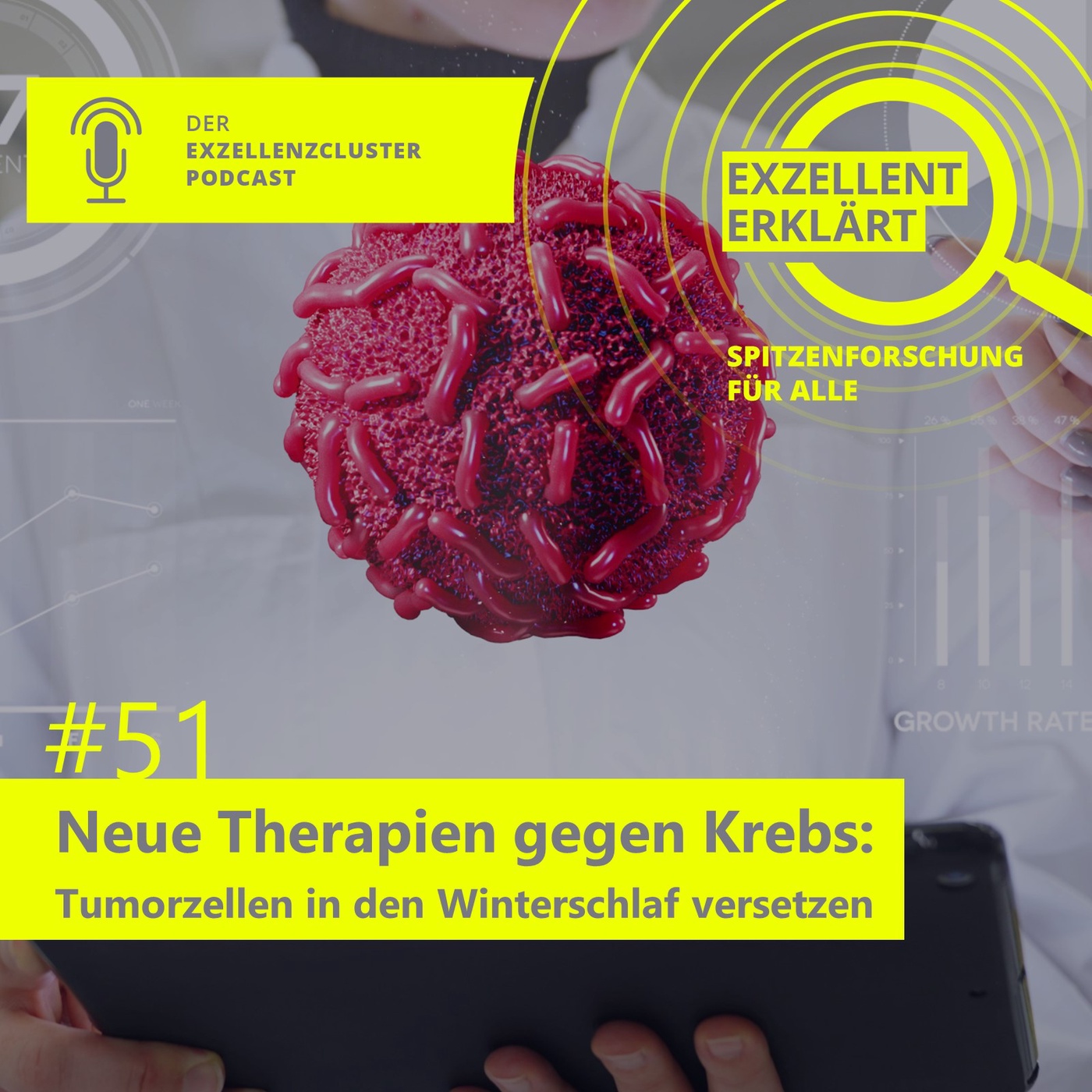 Neue Therapien gegen Krebs: Tumorzellen in den Winterschlaf versetzen