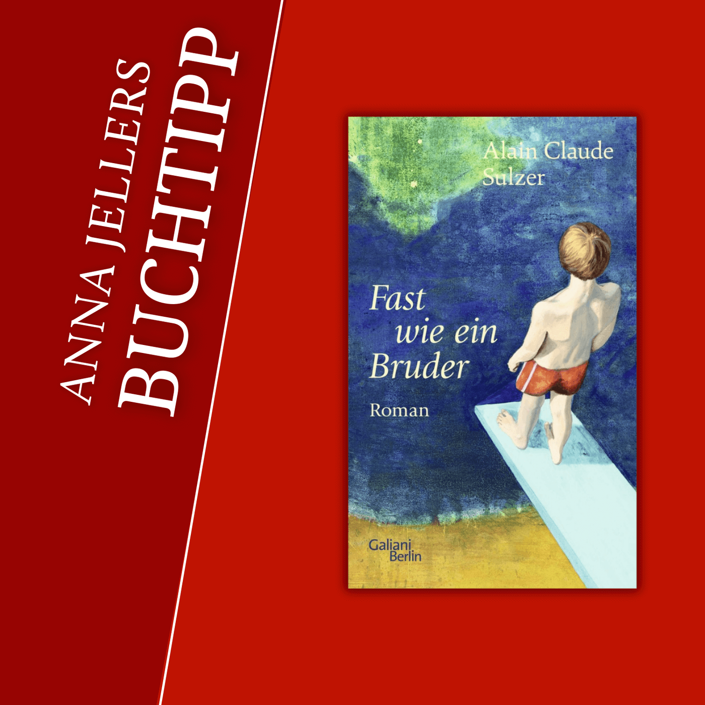 Anna Jellers Buchtipp | Alain Claude Sulzer: Fast wie ein Bruder