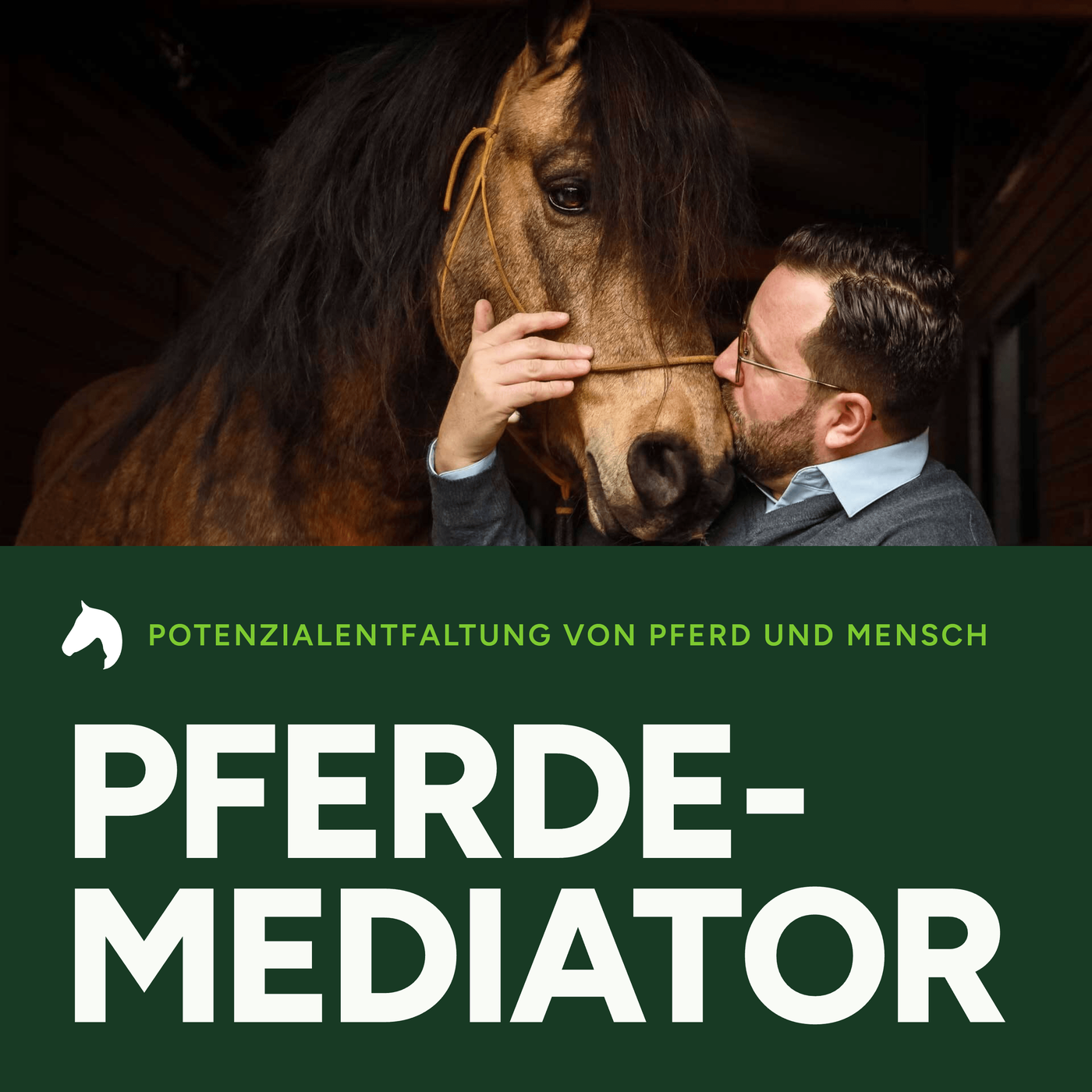 Pferdemediator – Potenzialentfaltung von Pferd und Mensch
