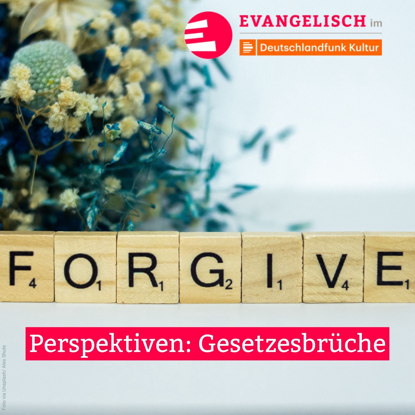 Perspektiven: Gesetzesbrüche