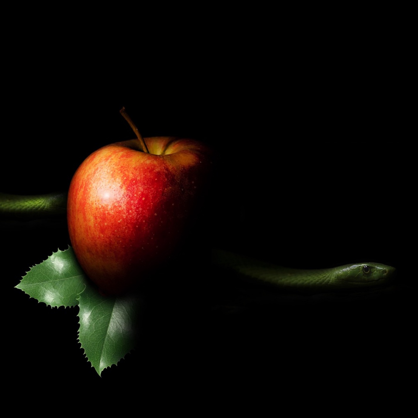 Achtung Bibel: Eva - neu gelesen