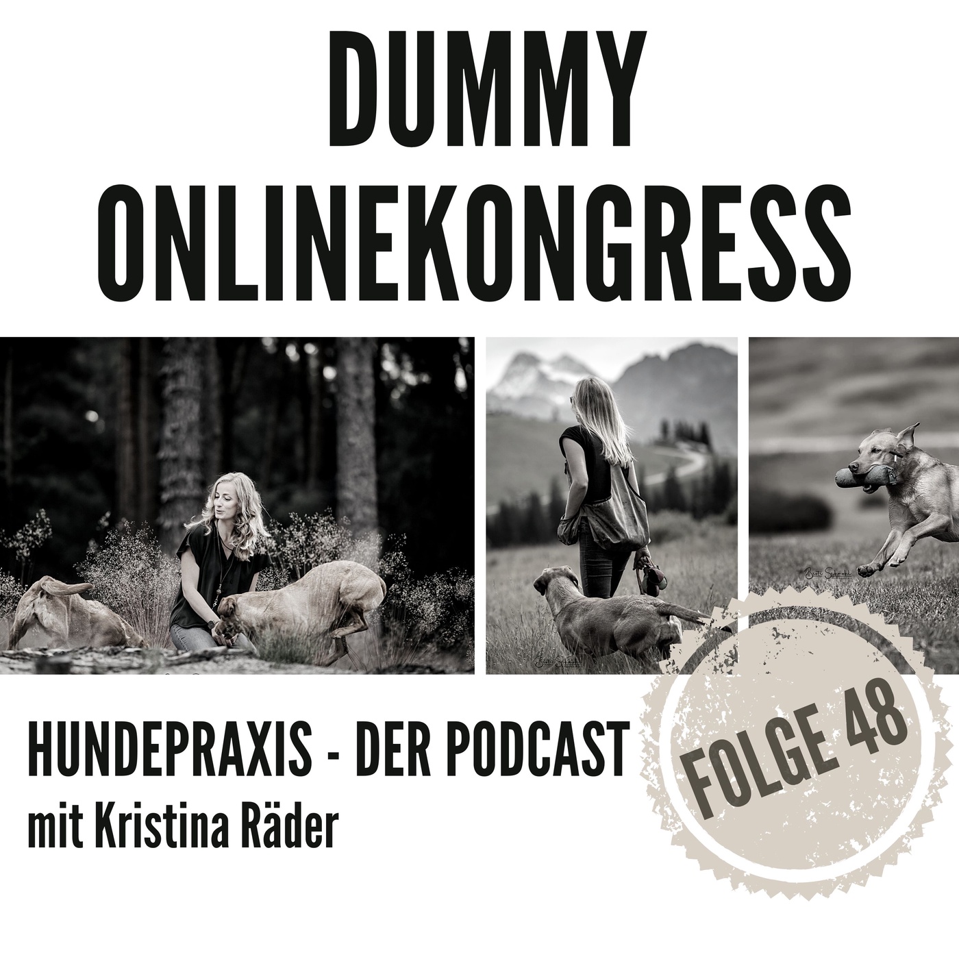 Der erste Dummy-Onlinekongress