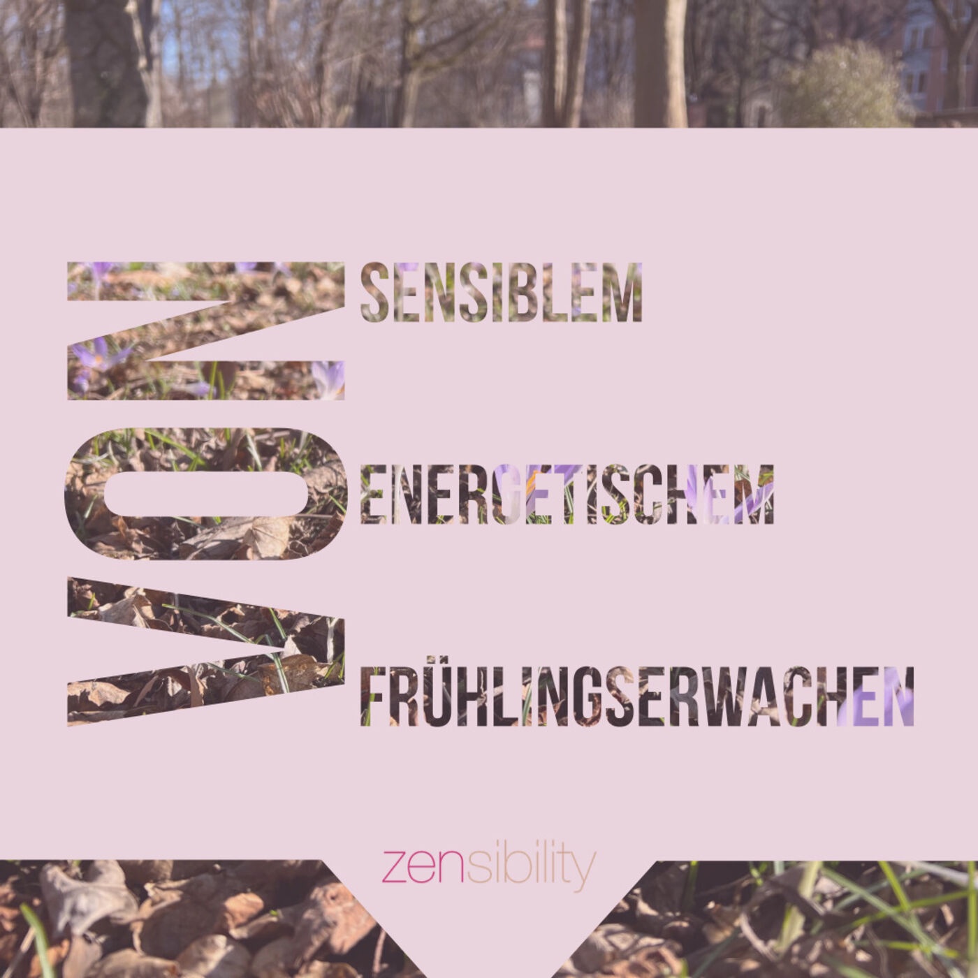 Blitzlicht: Von Sensiblem energetischem Frühlingserwachen
