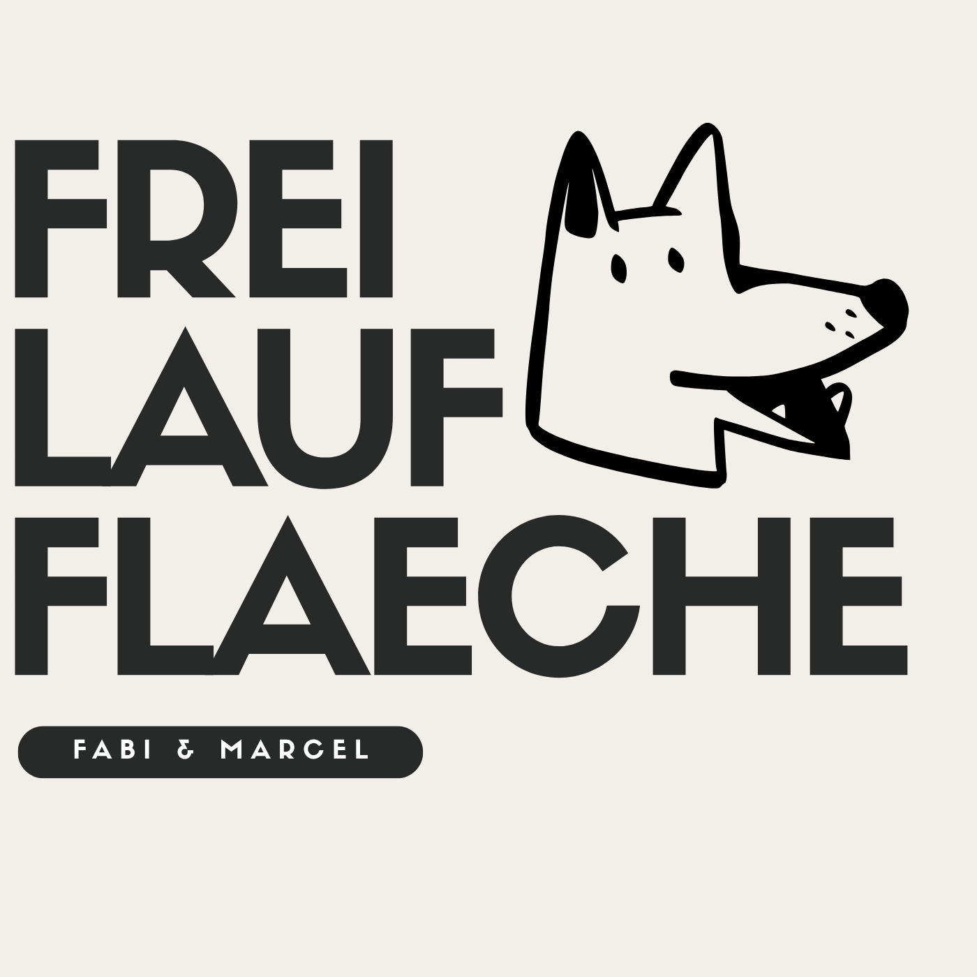 Freilaufflaeche