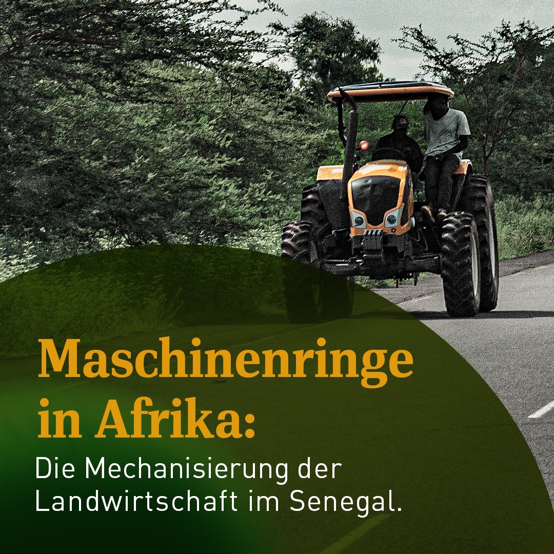Senegals Landwirte organisieren sich in Maschinenringen