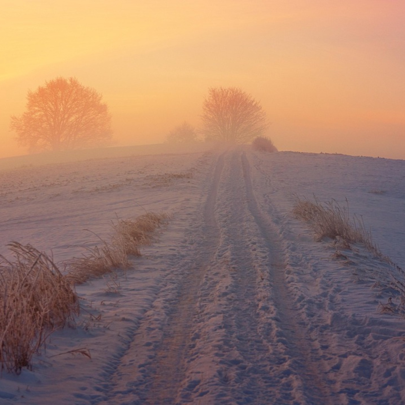 Adventkalender #5 Raum der Stille