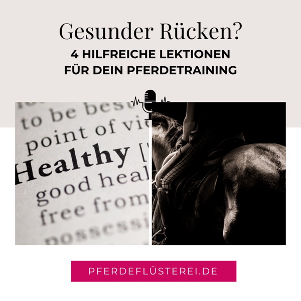 Pferderücken stärken - Diese 4 Übungen wirken Wunder!