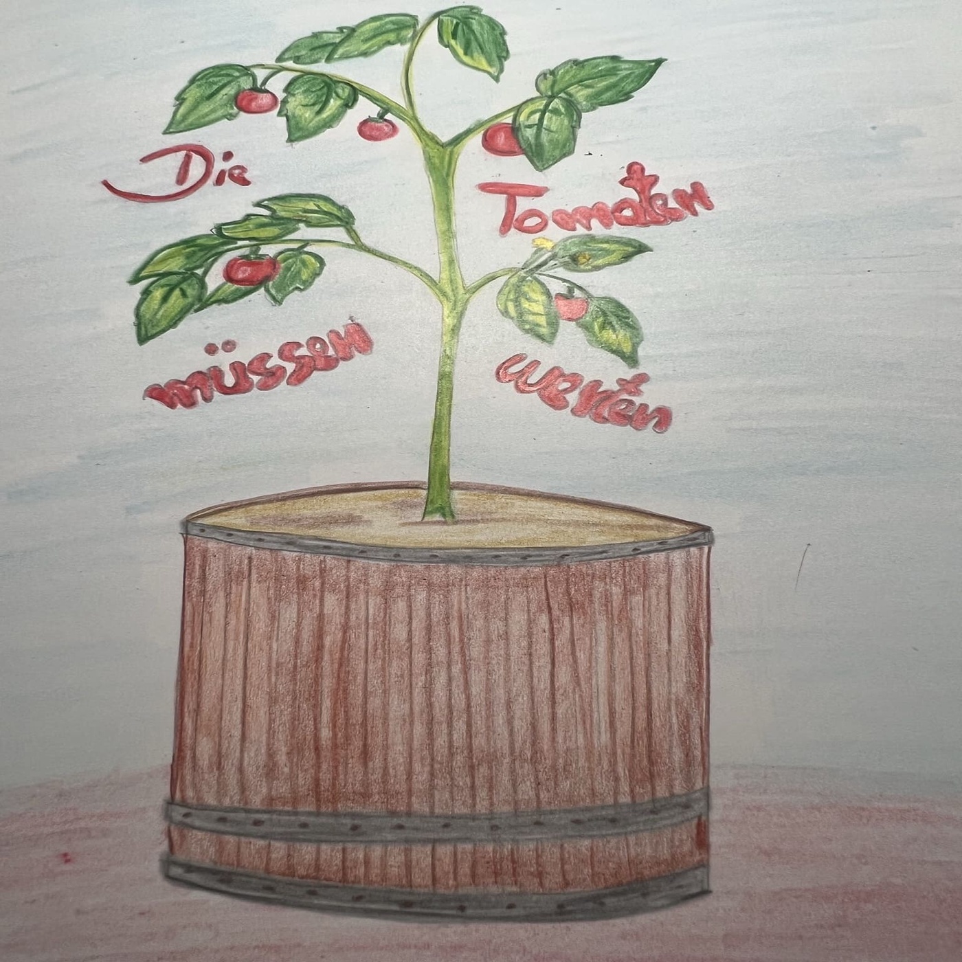 Die Tomaten müssen warten