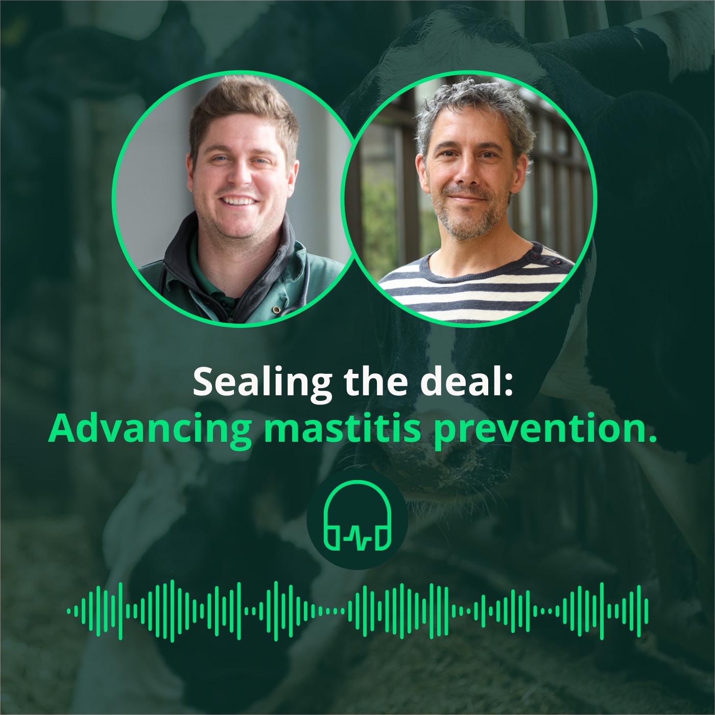 Sealing the deal: advancing mastitis prevention || Sceller l'affaire : avancée dans la prévention de la mammite