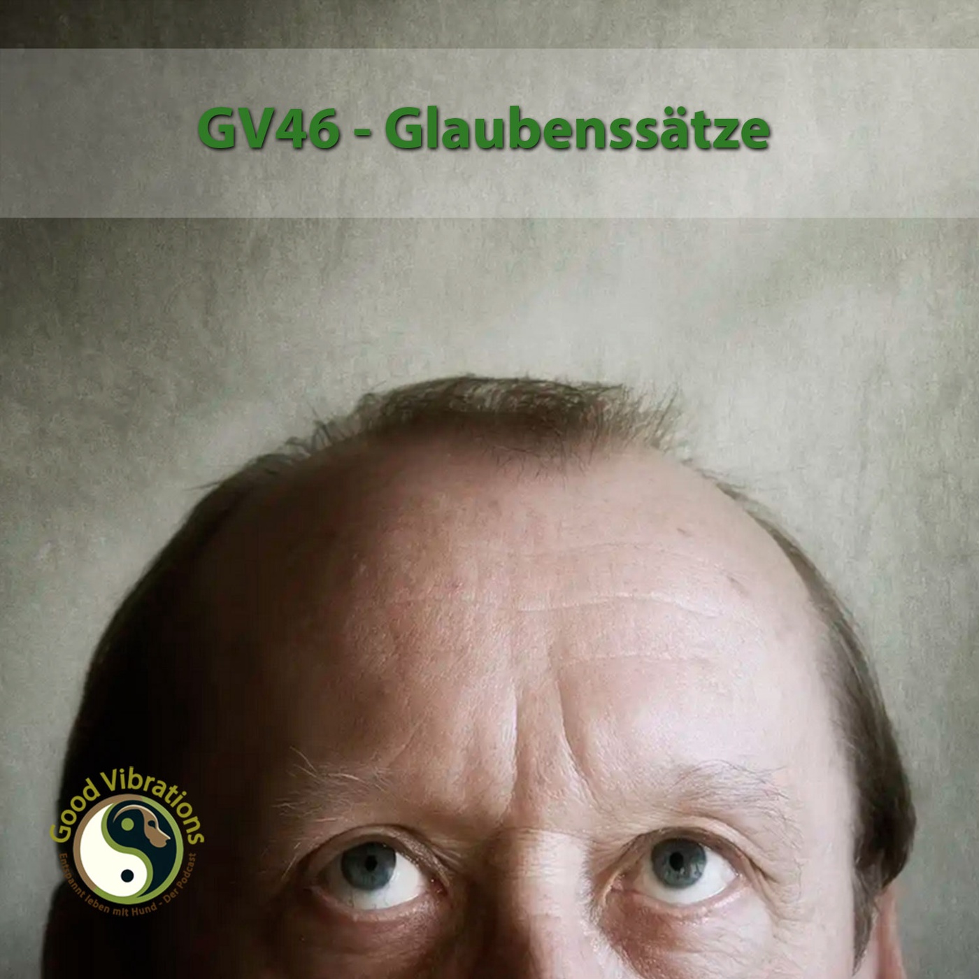 GV 46_Glaubenssätze
