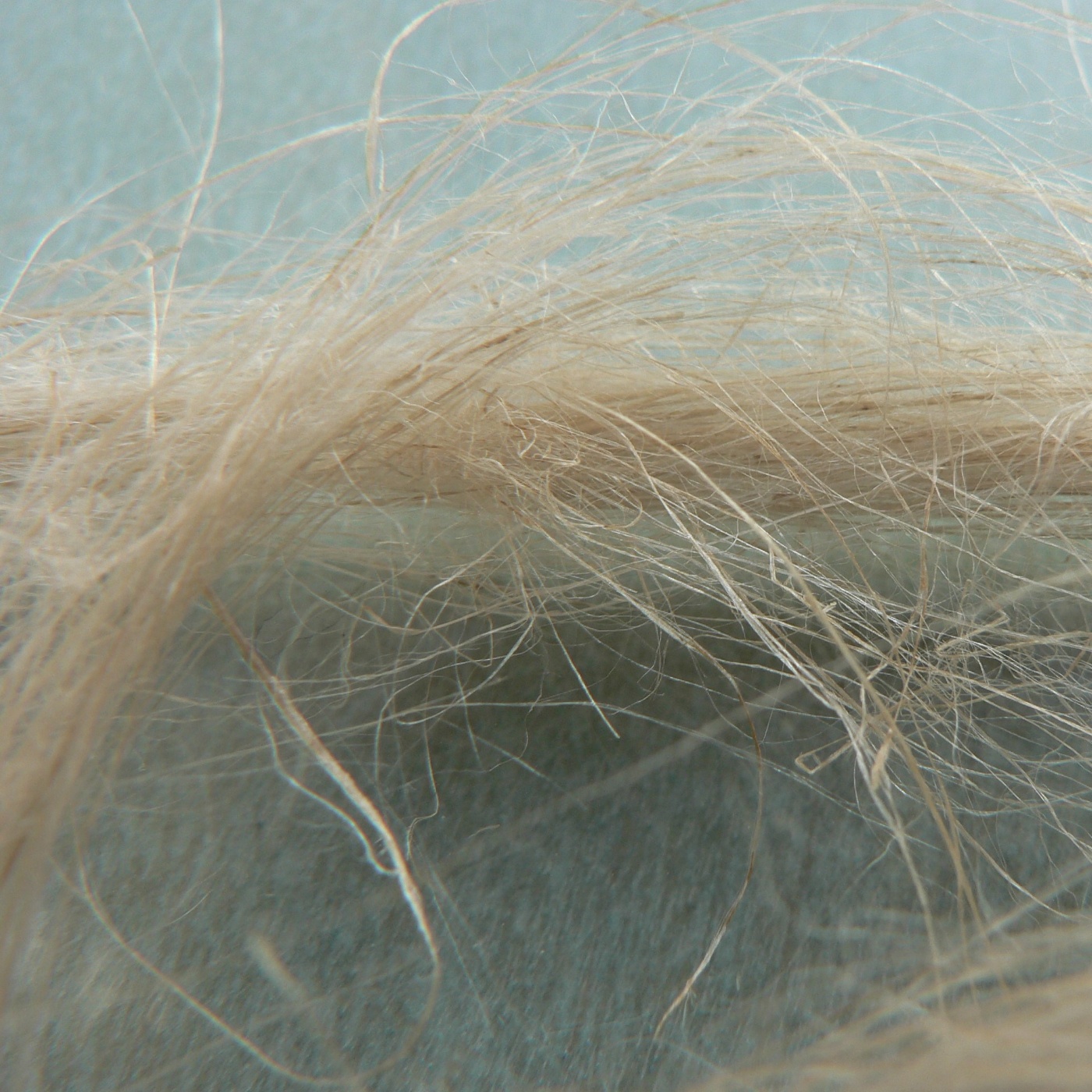 Y-041: Information zum Export von Leinwaren aus Schlesien (1768)