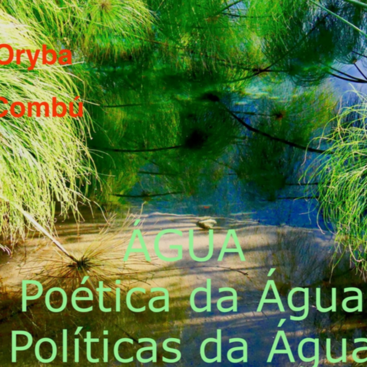 Zukunftskulturjournal: Água - Wasserpoetiken und Wasserpolitiken