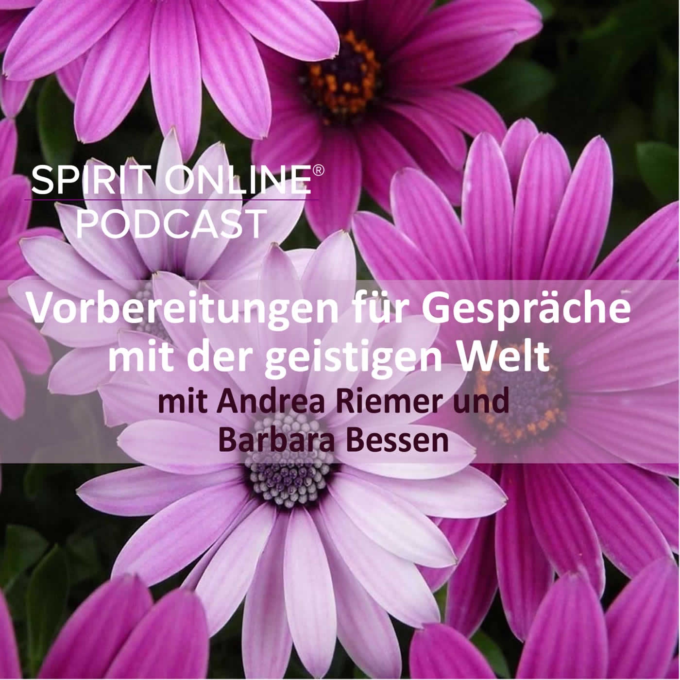 Vorbereitung für Gespräche mit der Geistigen Welt - Andrea Riemer im Gespräch mit Barbara Bessen