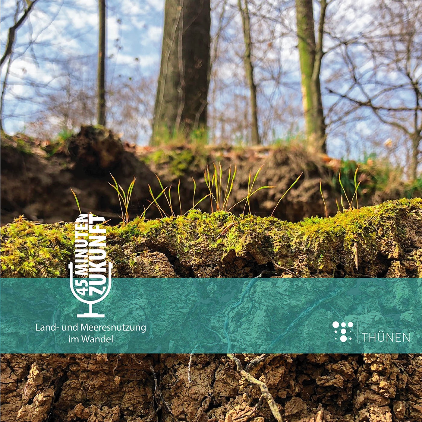 Der Boden hängt am Baum – auf welchem Grund stehen klimaresiliente Wälder? #20