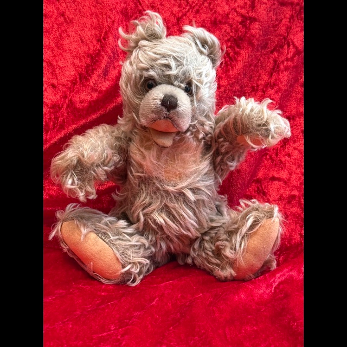 020: Der Teddy, der eine Stimme bekam (Paargespräch)