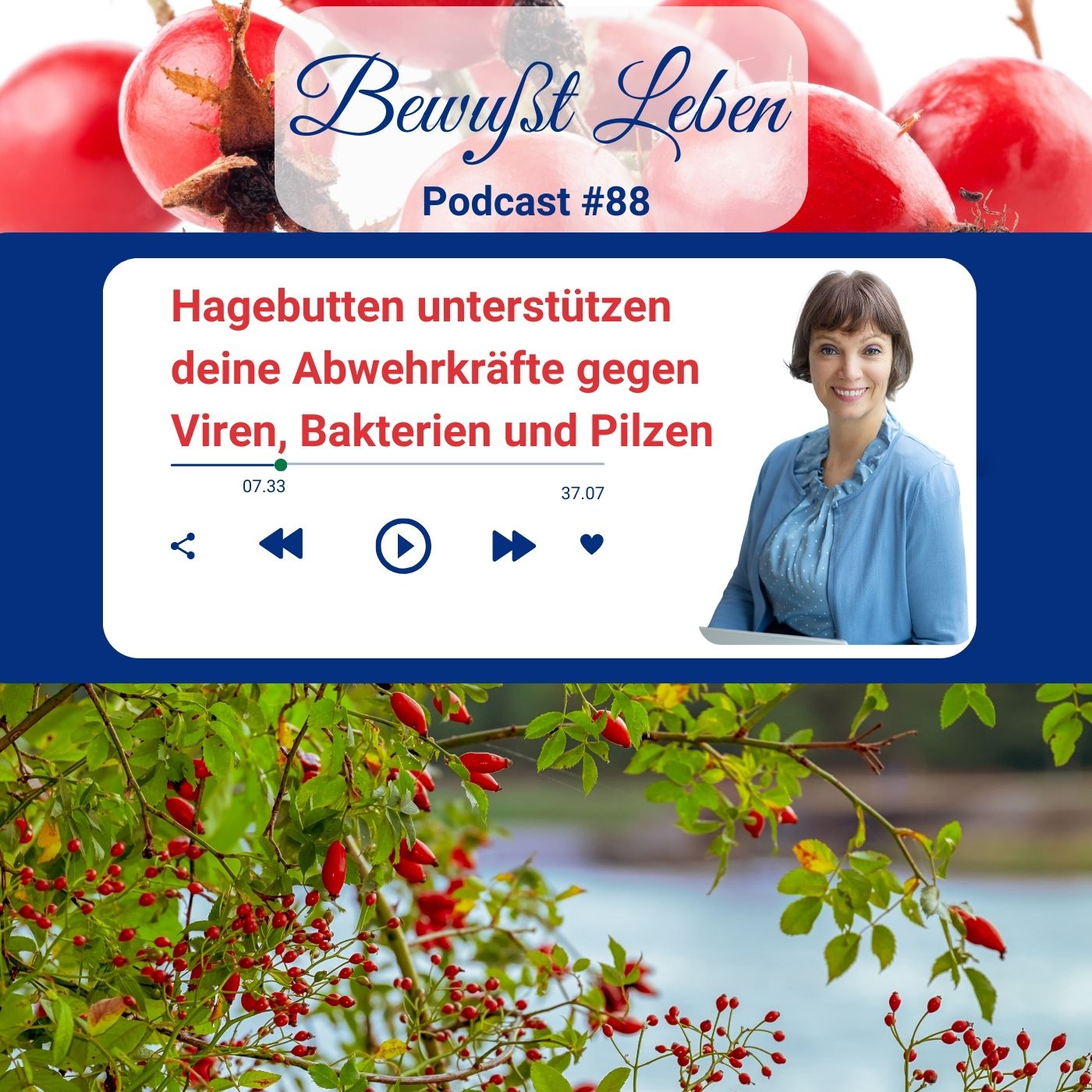 Hagebutten unterstützen deine Abwehrkräfte gegen Viren, Bakterien und Pilzen I Podcast #88